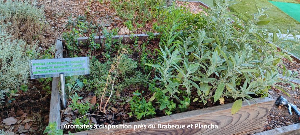 Aromates à disposition près du Barbecue